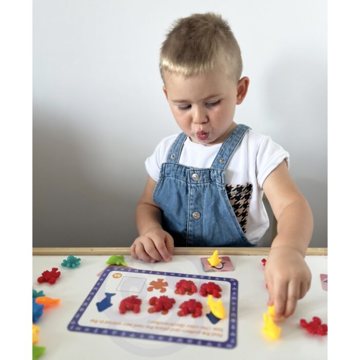 WOOPIE Zestaw Edukacyjny Nauka Liczenia Montessori Sorter Kolorów Morska Kraina 111 el. - obrazek 4