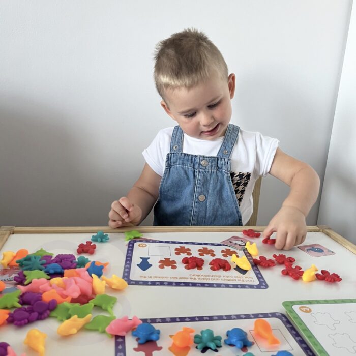 WOOPIE Zestaw Edukacyjny Nauka Liczenia Montessori Sorter Kolorów Morska Kraina 111 el. - obrazek 5