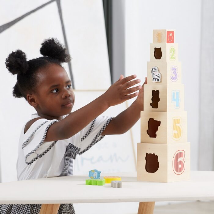 VIGA Drewniana Piramidka Układanka Klocki Sorter Montessori - obrazek 4