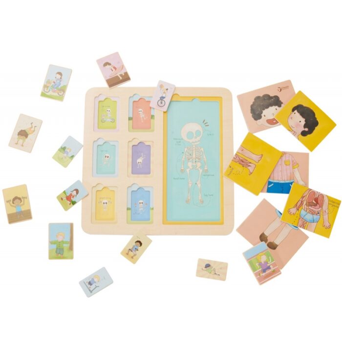 CLASSIC WORLD Tablica Edukacyjna Ciało Ludzkie Układanka Klocki Puzzle dla Dzieci Dopasuj MONTESSORI 19 el. - obrazek 6